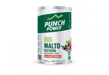 PUNCH POWER BOISSON BIOMALTODEXTRINE CITRON 500 GR